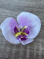 Orkide Hårclips med Krokodillespænde, hvid/lys lilla - gult stref🌸